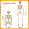 6 Packs Posable Halloween Skeleton, 16" Full Body Skeleton Decor
